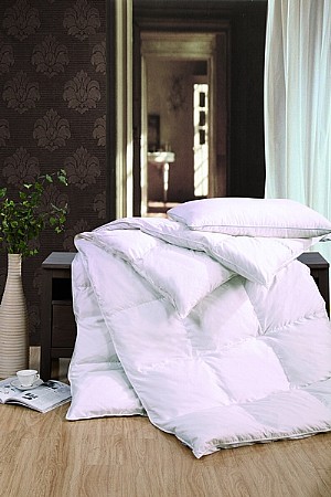 ��ķ˹������q��