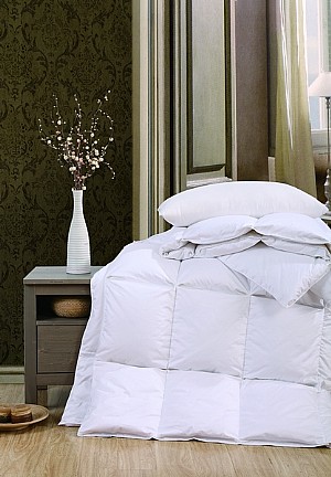 ����˹�Z�q����