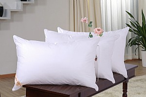 ���A�w����