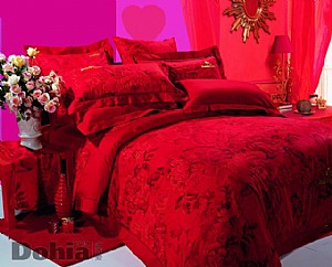 �����_��ʷ