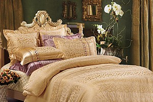 ���y�T��