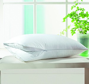 �B�Ć�����