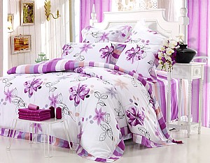 ��ɫ����