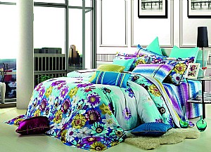 ���Ӻ���