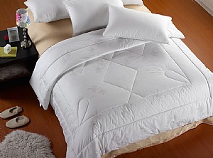 ������-�������߱�