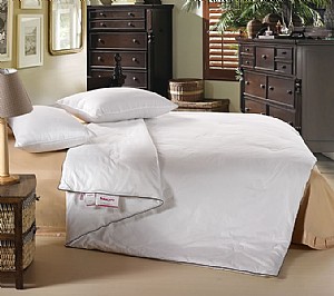 ������-���ɣ�Q�z��