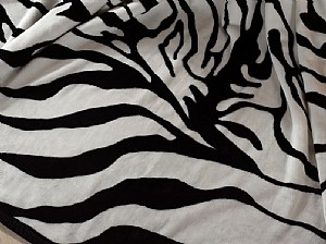 ������-ë̺08