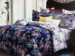 �χ�(gu��)����