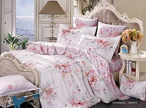 ������¶(��