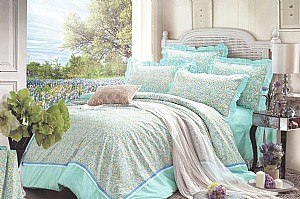 �ʷƼҼ��a(ch��n)Ʒ�D