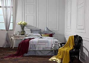 ��ɫ����