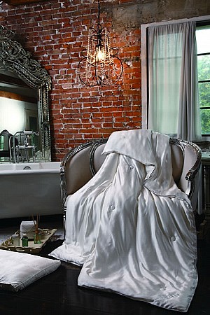 ��������-�F���Q�z����������