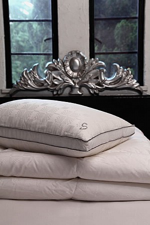 ��������-��q��