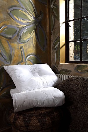 ޹��������