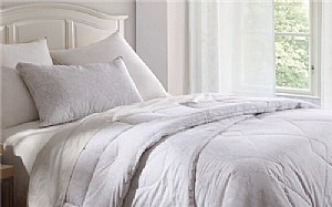 о�ϵ�У����x���I(y��)��оʮ���d�����x��q���Q�z����ë����Ȼ���|(zh��)���������A���������½W�p��ˇ��ֻ����콡��������