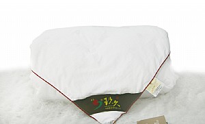 �F����ɣ�Q�z��