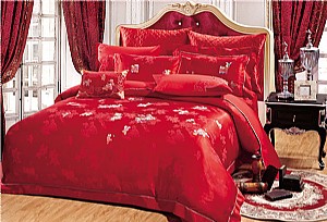 �����͸�